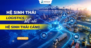 Hệ sinh thái Logistics kết nối hệ sinh thái Cảng